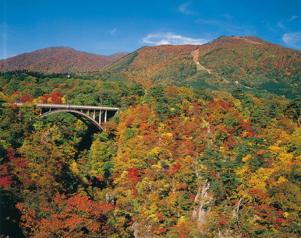 宮城 紅葉の鳴子峡