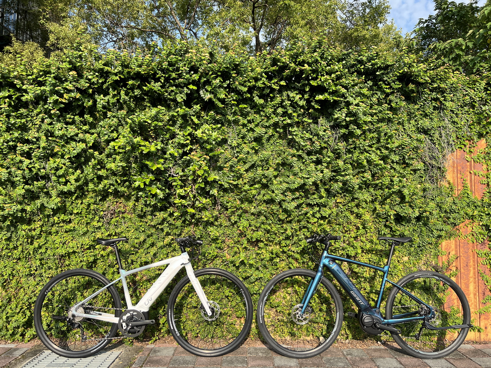 Velo fitness hotsell giant fastroad