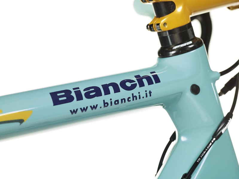 Specialissima Pantani detail 2