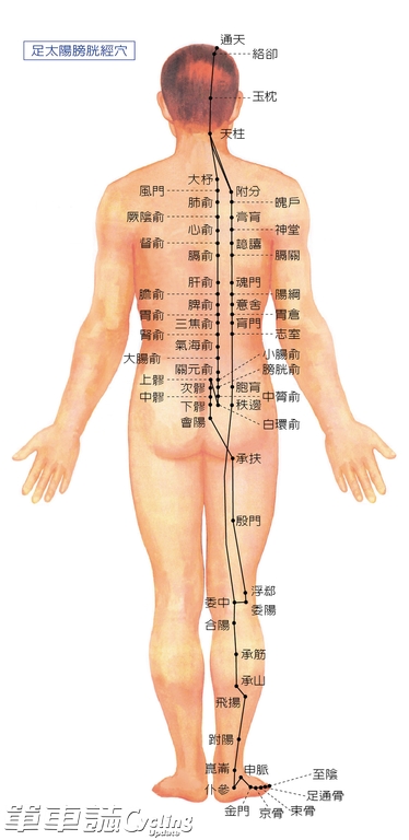 P114-118 结果